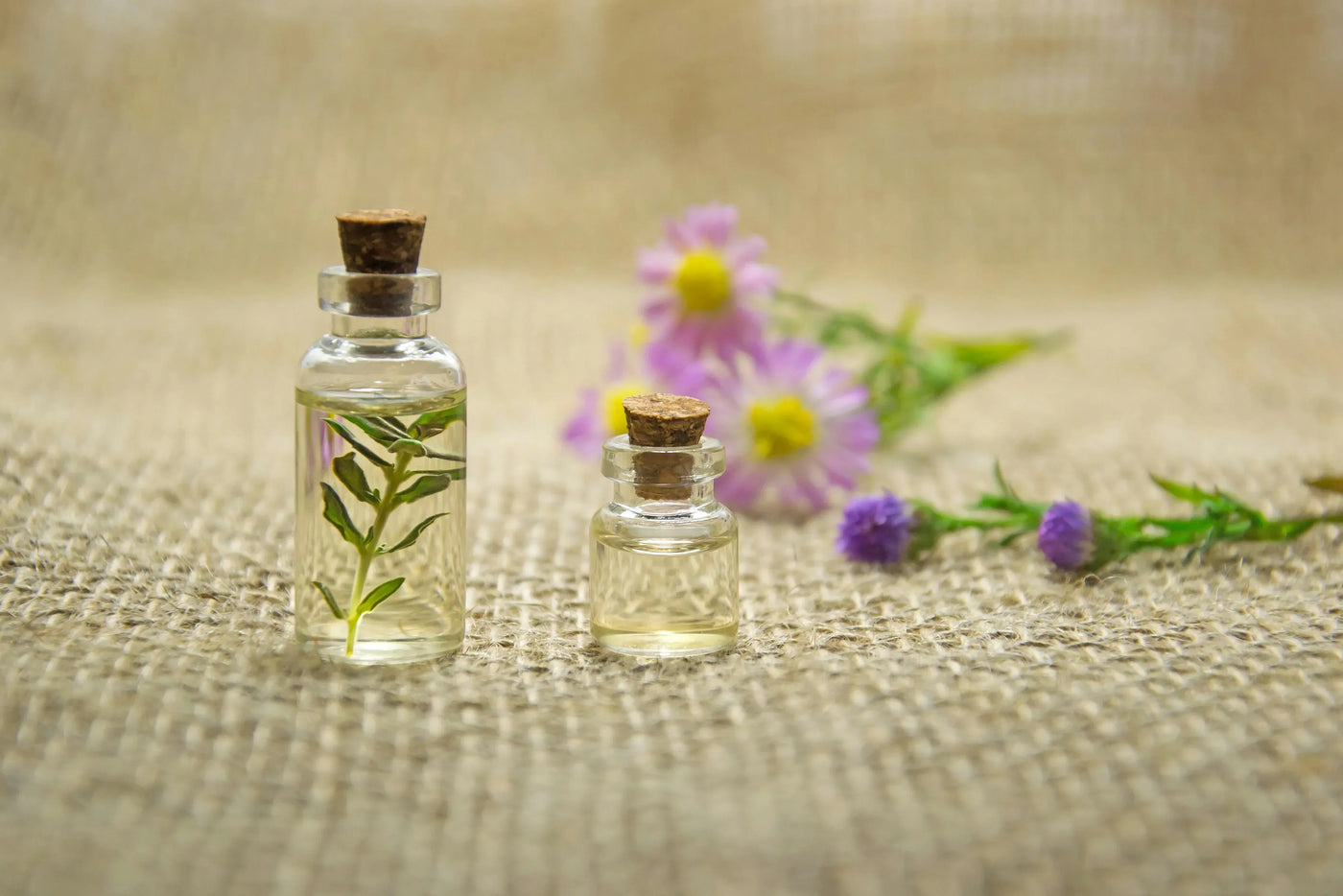 KITS - InternationalCosmetic