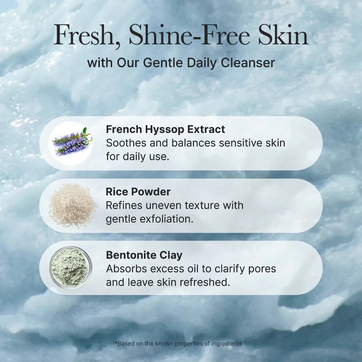 ARENCIA | Fresh Blue Hyssop Rice Mochi Cleanser - 120ml - InternationalCosmetic