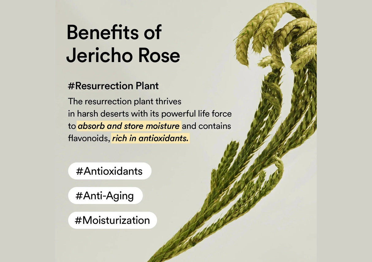 ABIB | Collagen Eye Patch Jericho Rose Jelly - 60ud - InternationalCosmetic