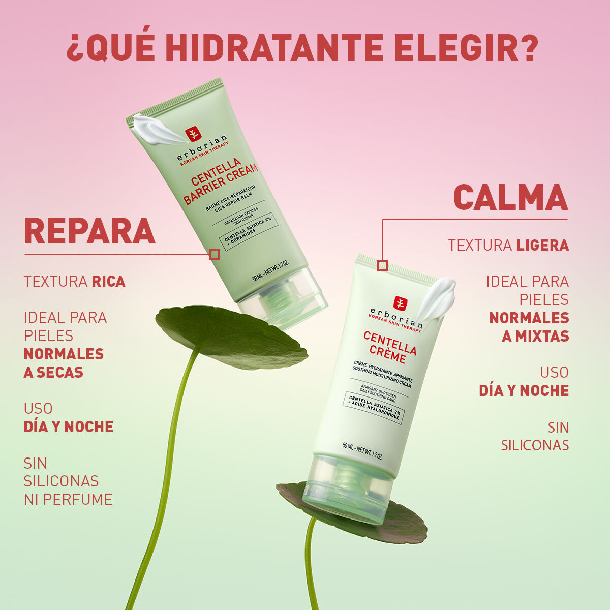 ERBORIAN | Centella Creme - 50ml