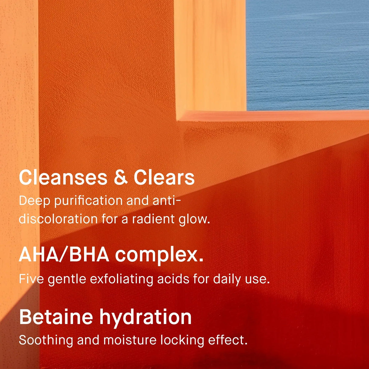 EVY TECHNOLOGY | Renew Mousse AHA / BHA Cleanser - 100ml - InternationalCosmetic