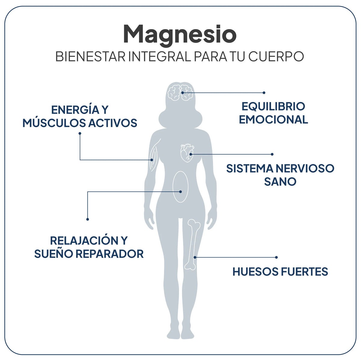 IVB WELLNESS LAB | Magnesio Total