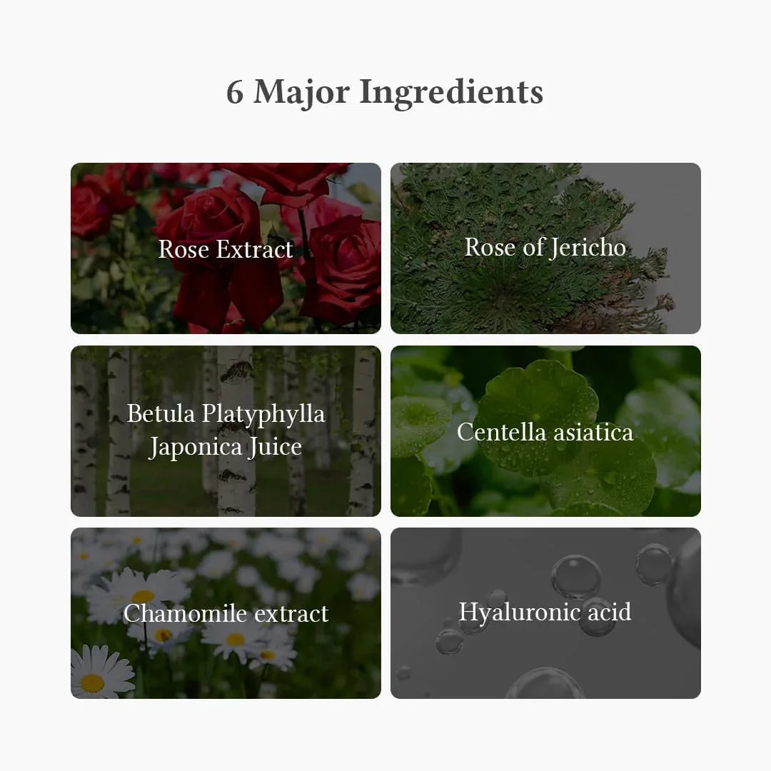 DR. ALTHEA | Oasis Soothing Mask - 5ud - InternationalCosmetic