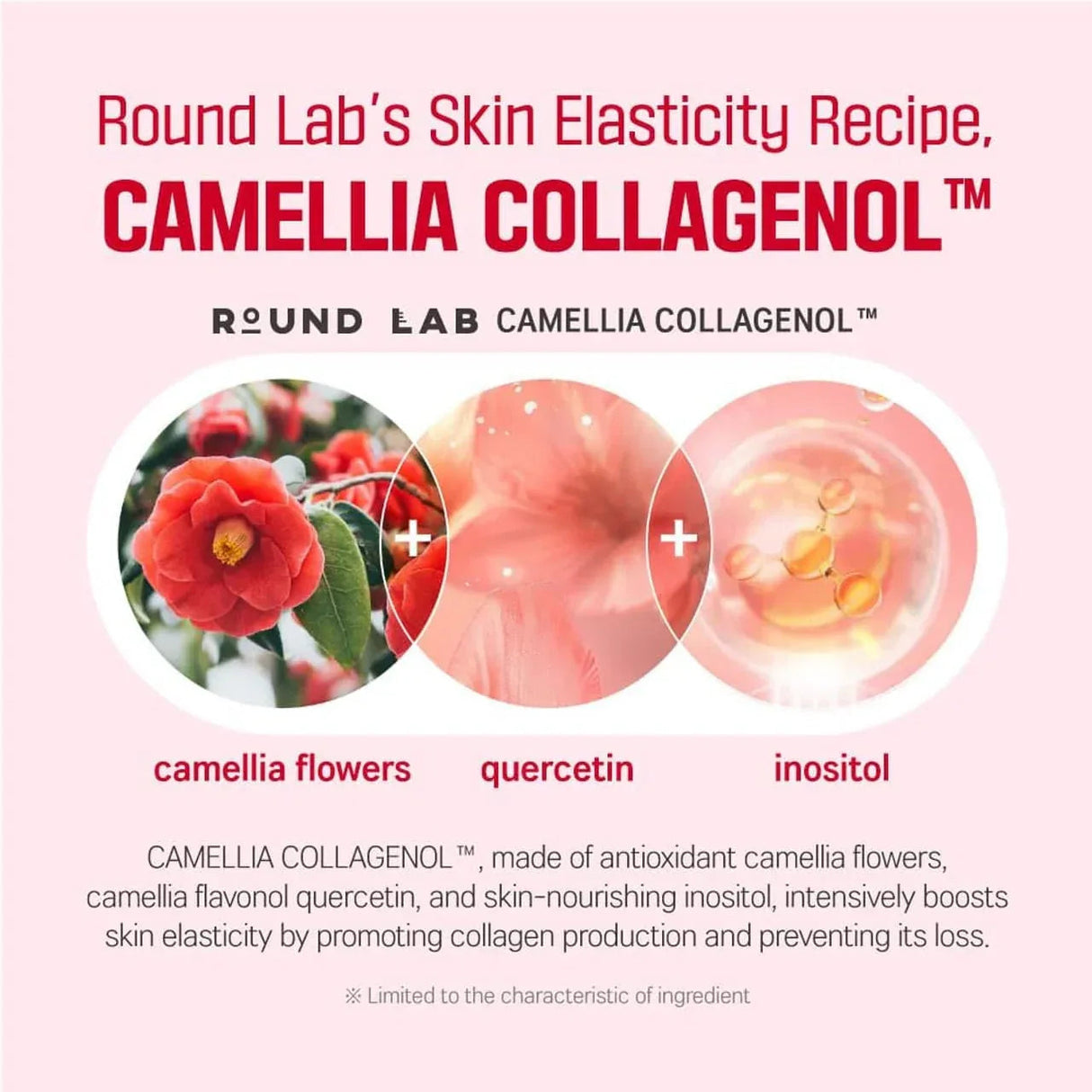 ROUND LAB | Camellia Deep Collagen Firming Gel Mask - InternationalCosmetic