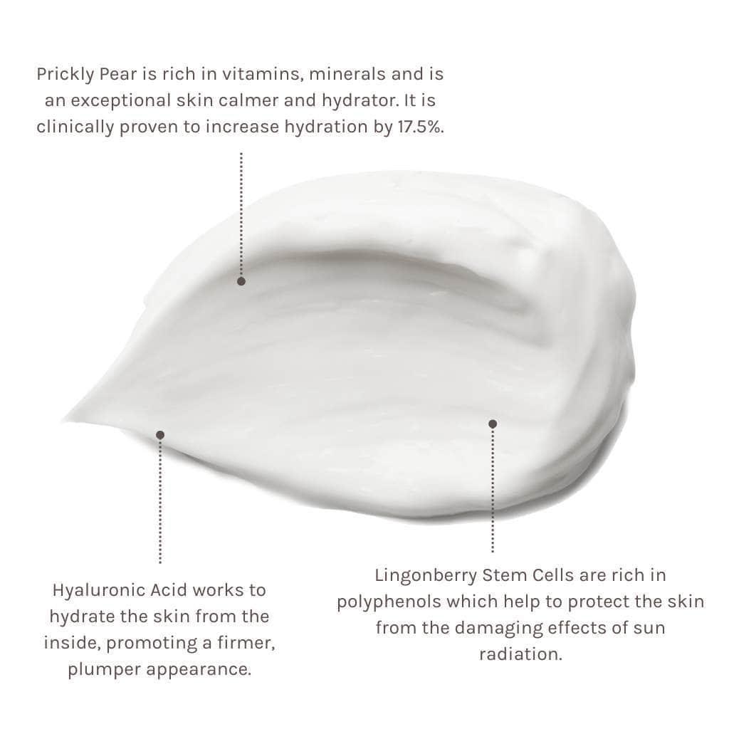 EVOLVE | Climate Defence Facial Cream SPF 30 - InternationalCosmetic