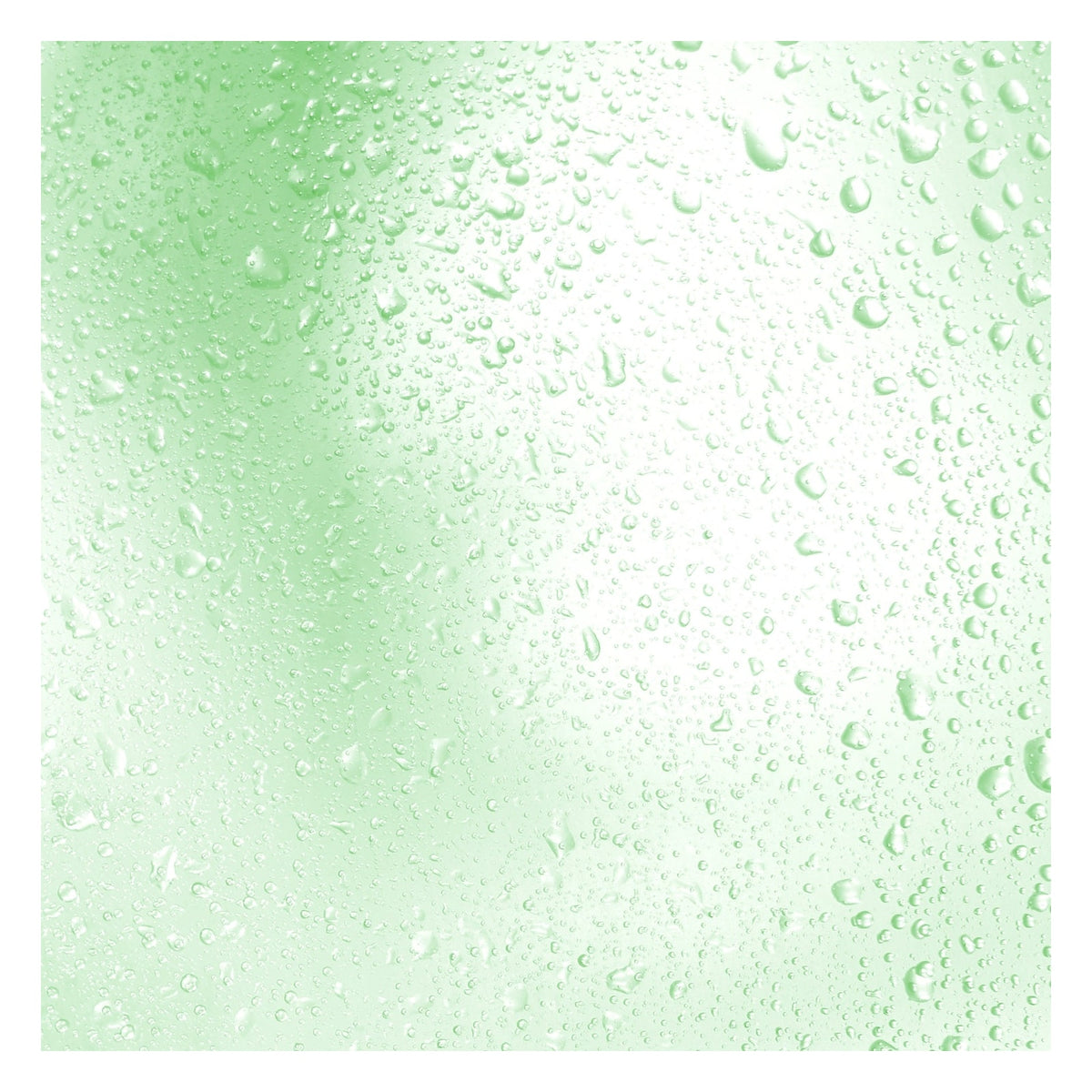 Black Bamboo Mist - 150ml — imagen 2