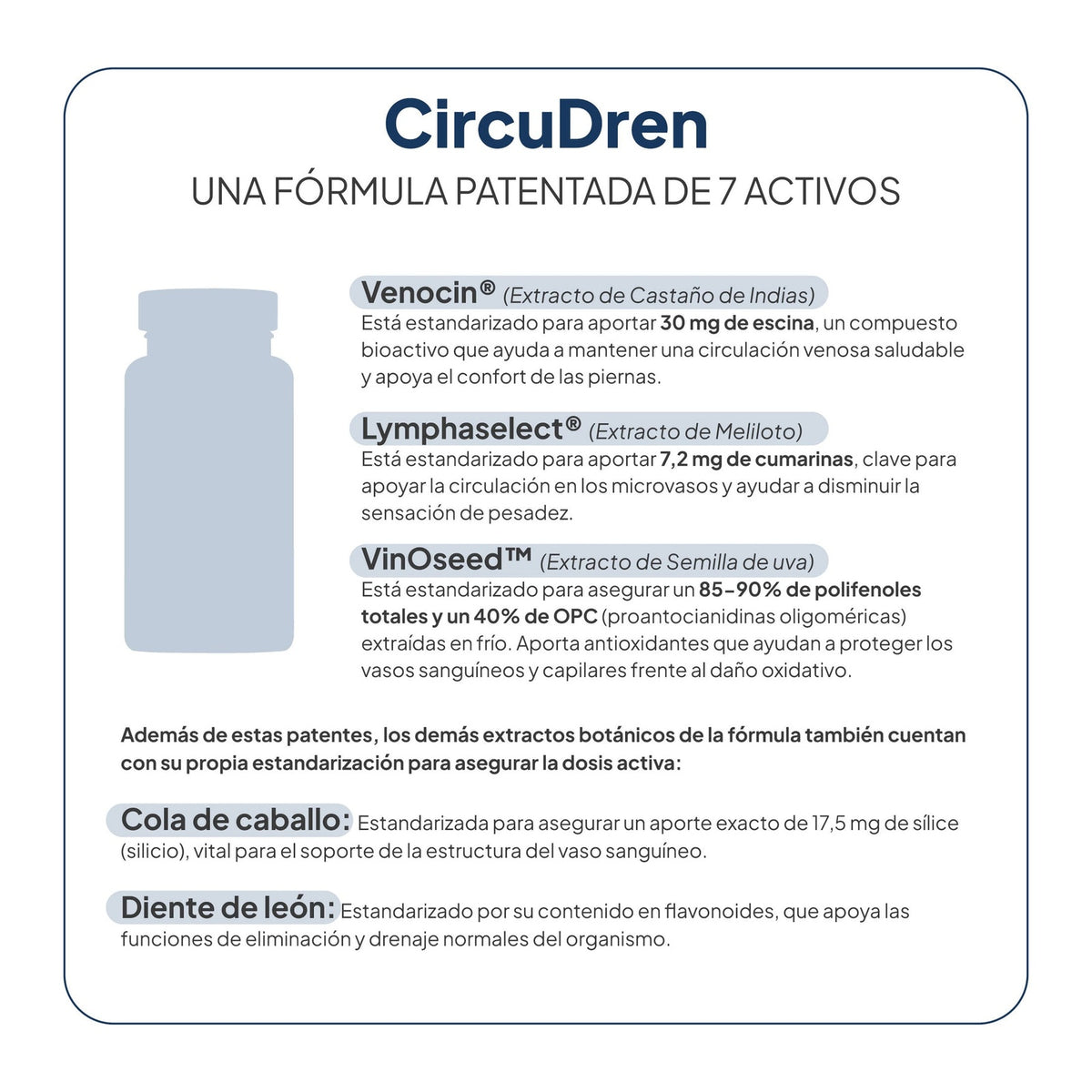 IVB WELLNESS LAB | CircuDren - 60 Cápsulas - Detalle oficial