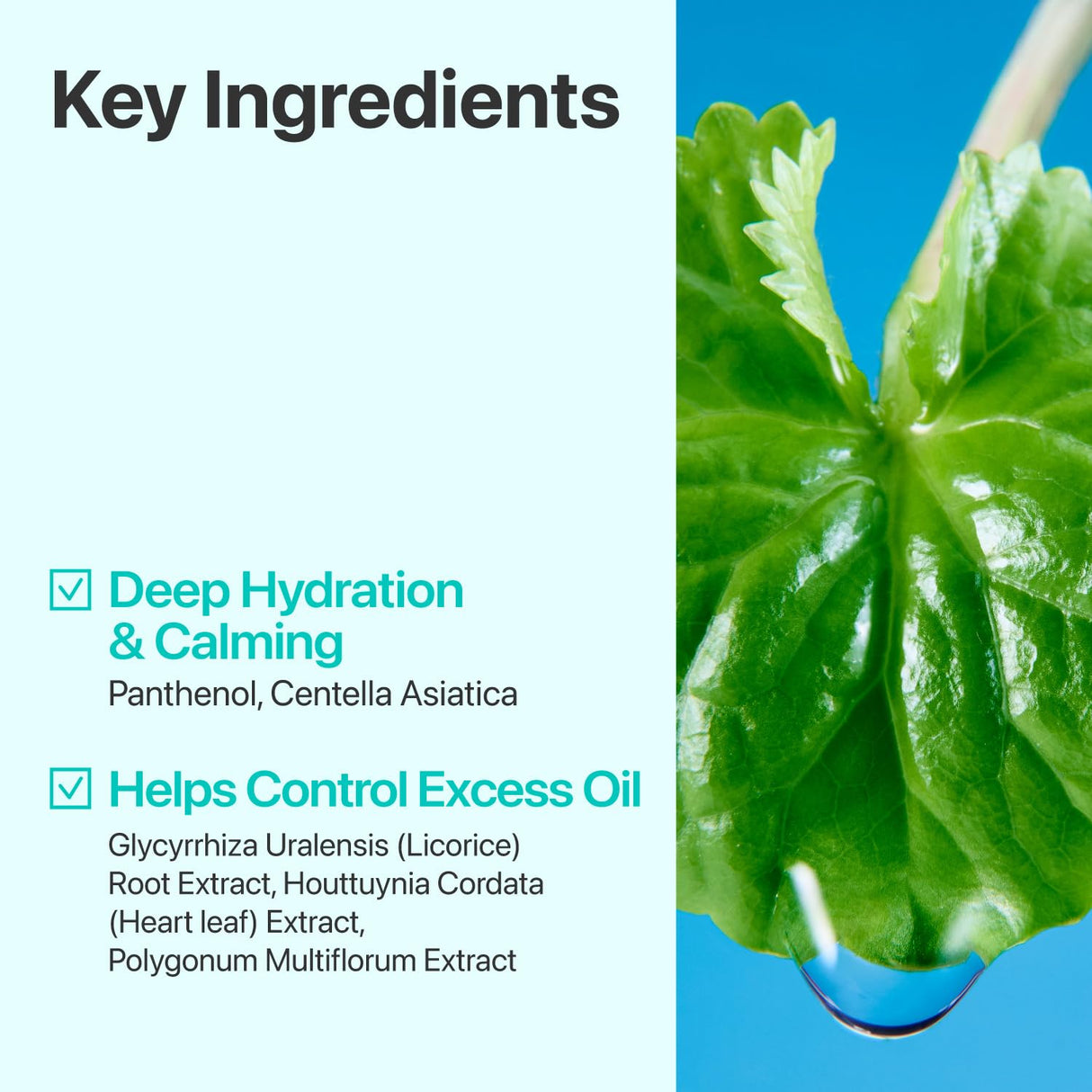 NUMBUZIN | No.1 Pure-Full Calming Herb Toner - 300ml