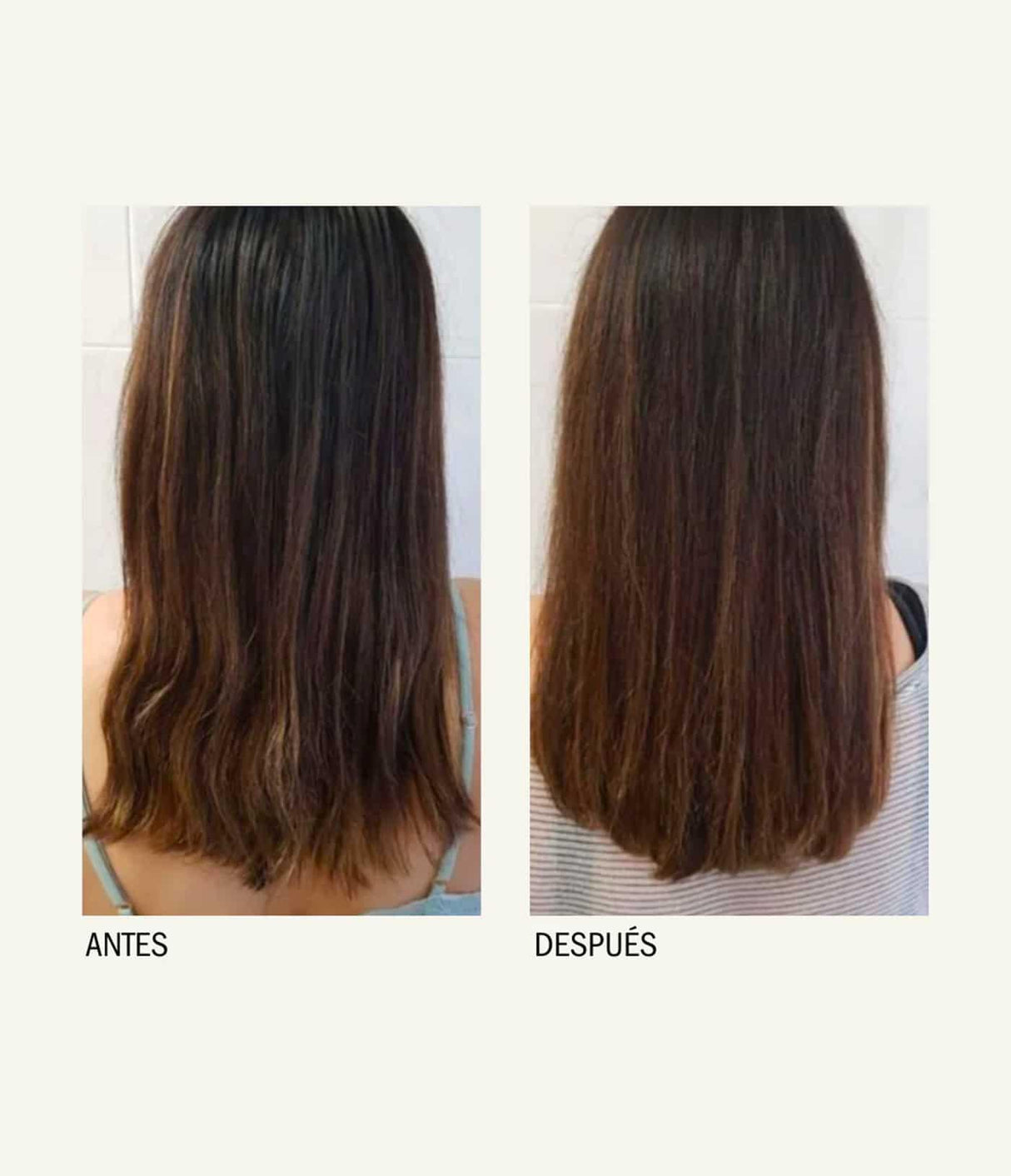 MONCHO MORENO | Gorgeous Hair - InternationalCosmetic