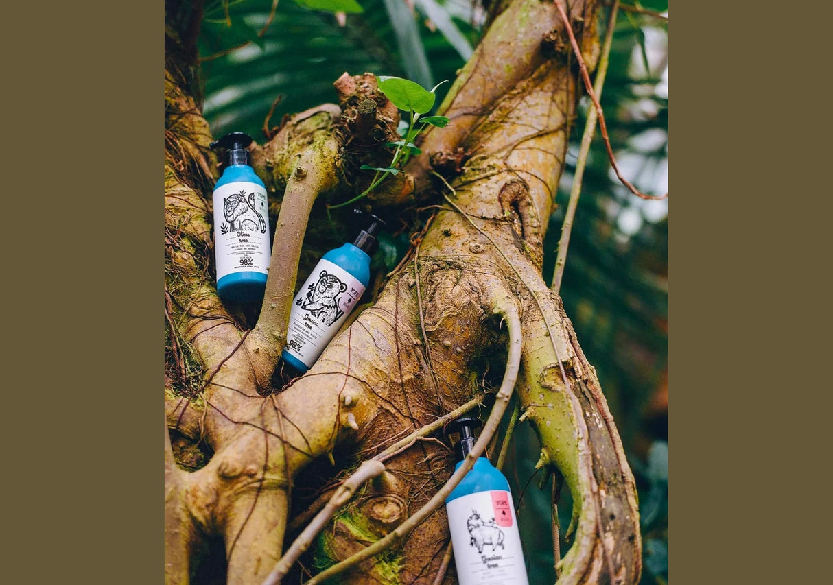 YOPE | Guaiac Tree Natural Shampoo- 300ml - InternationalCosmetic