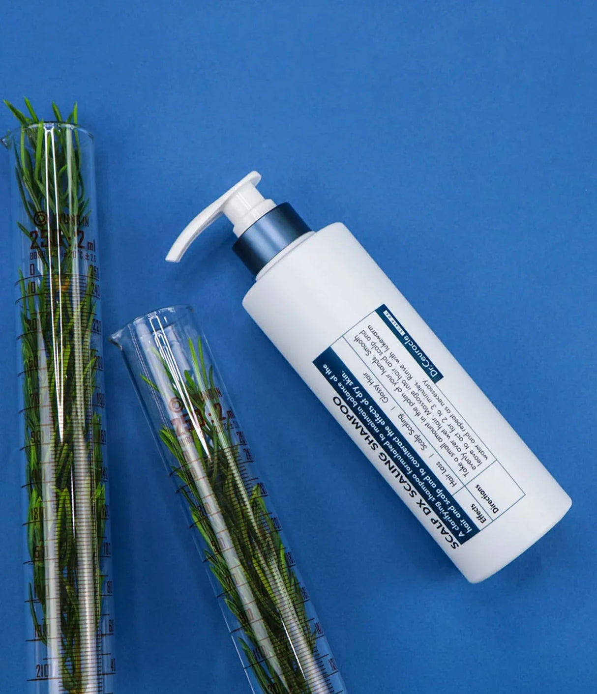 DR. CEURACLE | Scalp DX Scaling Shampoo - 500ml - InternationalCosmetic