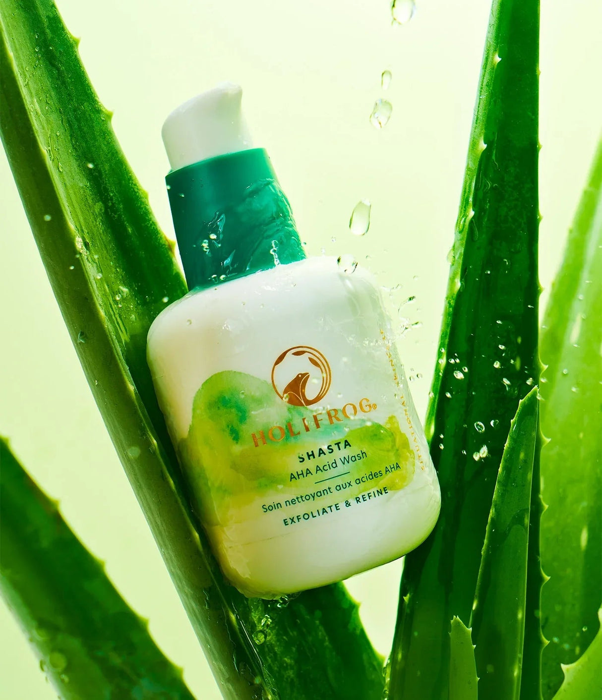 HOLIFROG | Shasta AHA Acid Wash (OUTLET) - 150ml - InternationalCosmetic