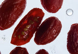 ALLIES OF SKIN | Peptint Tripeptide & Goji Cells Plumping Lip Treatment - 15ml