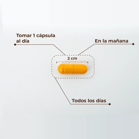 KOBHO LABS | Kobho Cúrcuma + Pimienta Negra - InternationalCosmetic