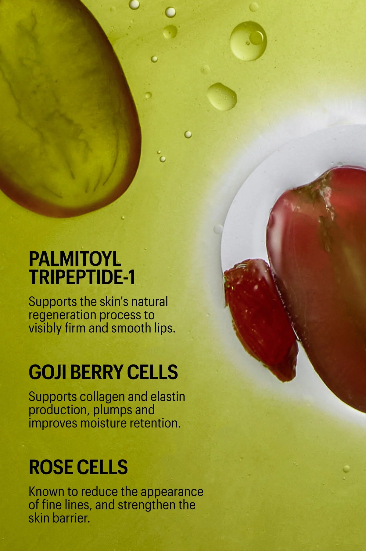 ALLIES OF SKIN | Peptint Tripeptide & Goji Cells Plumping Lip Treatment - 15ml