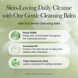 ARENCIA | Pore Melt Phyto PDRN Cleansing Balm - 90 ml