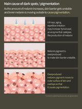 ANUA | Vitamin C 20 Blemish Serum - 30ml