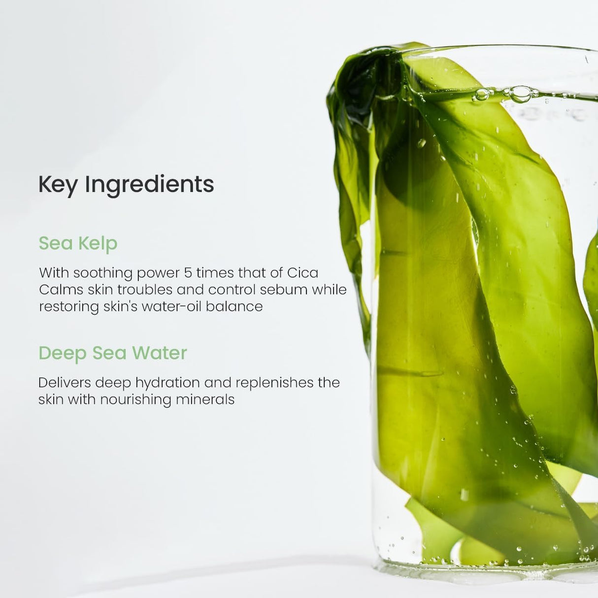 BIODANCE | Refreshing Sea Kelp Real Deep Mask - 1 ud