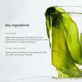 BIODANCE | Refreshing Sea Kelp Real Deep Mask - 1 ud