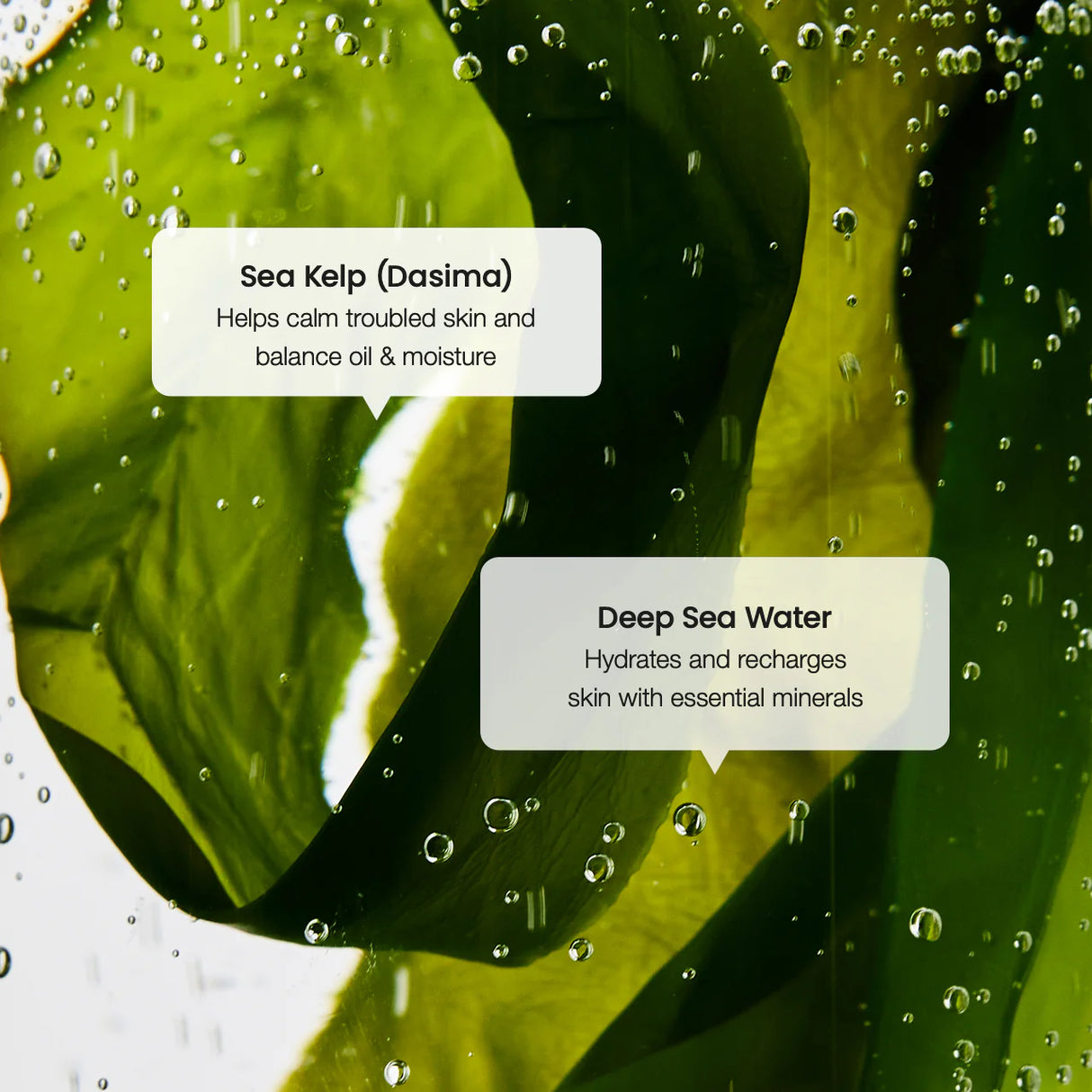 BIODANCE | Refreshing Sea Kelp Serum - 30ml