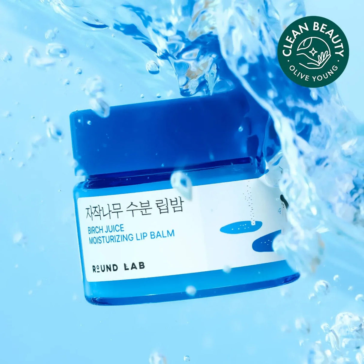 ROUND LAB | Round Lab Birch Moisturizing Lip Balm - 20gr - InternationalCosmetic