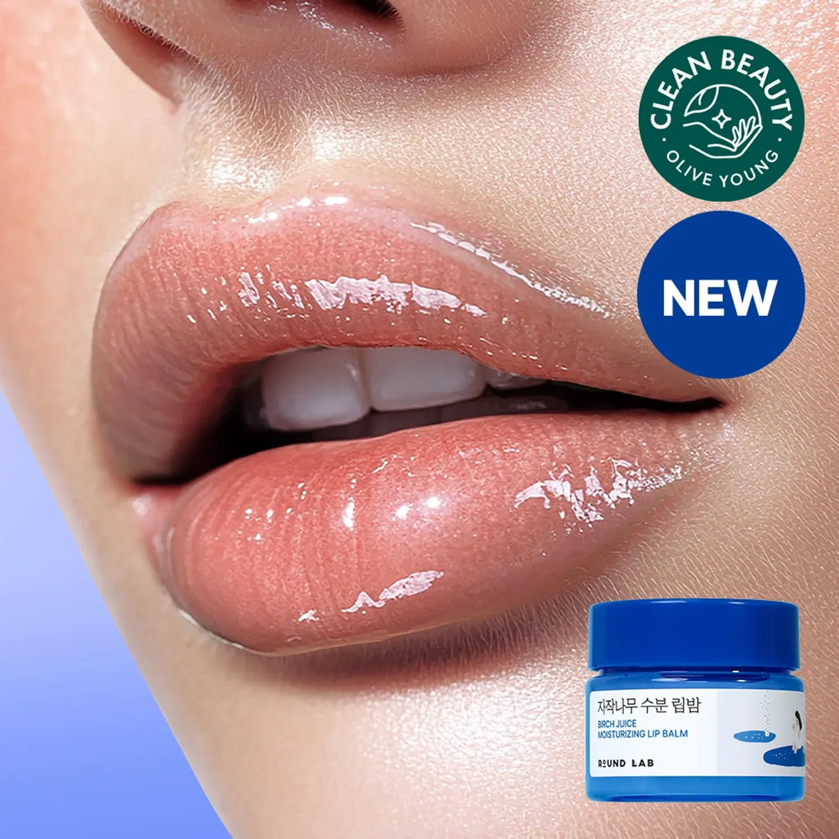ROUND LAB | Round Lab Birch Moisturizing Lip Balm - 20gr - InternationalCosmetic