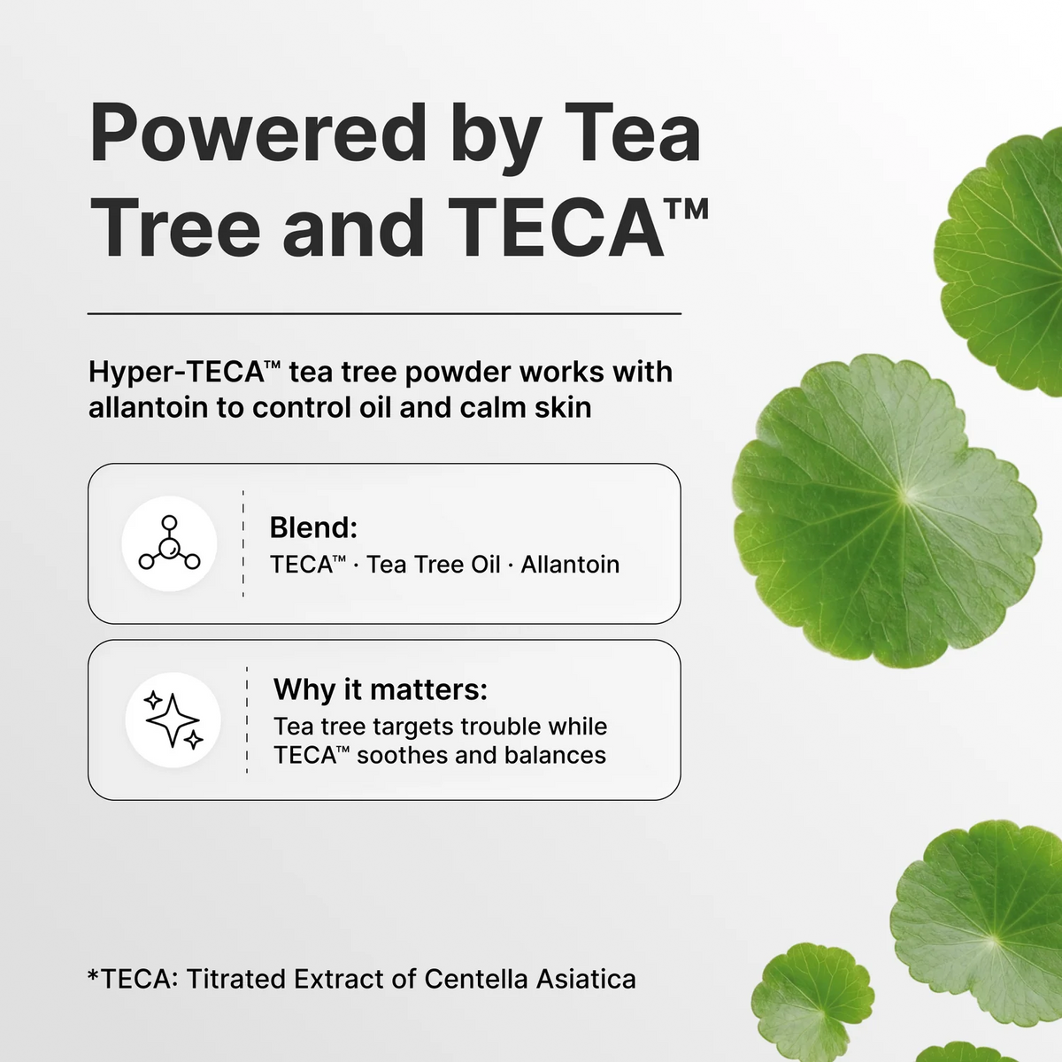 CENTELLIAN 24 | Madeca Powder Tea Tree AC - 6g