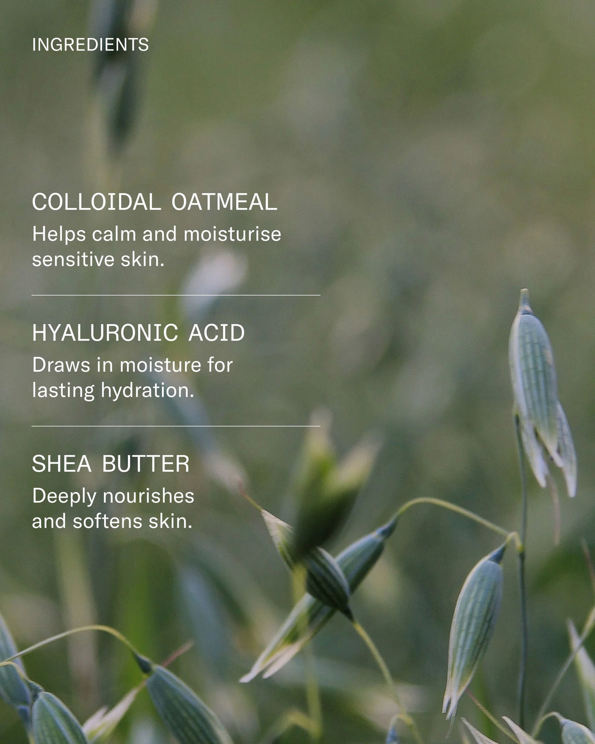 FACETHEORY | HydraOat Soothing Daily Moisturiser - 50ml