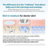 VT COSMETICS | Hydrop Reedle Shot 300hL - 50ml - InternationalCosmetic