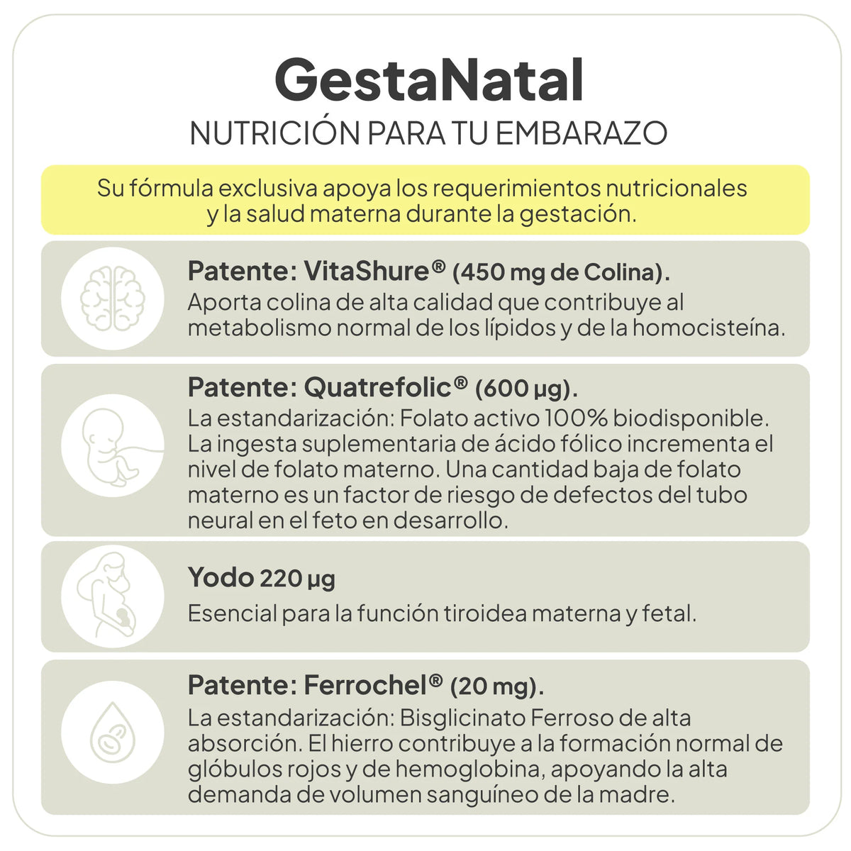 IVB WELLNESS LAB | GestaNatal - 60 Cápsulas