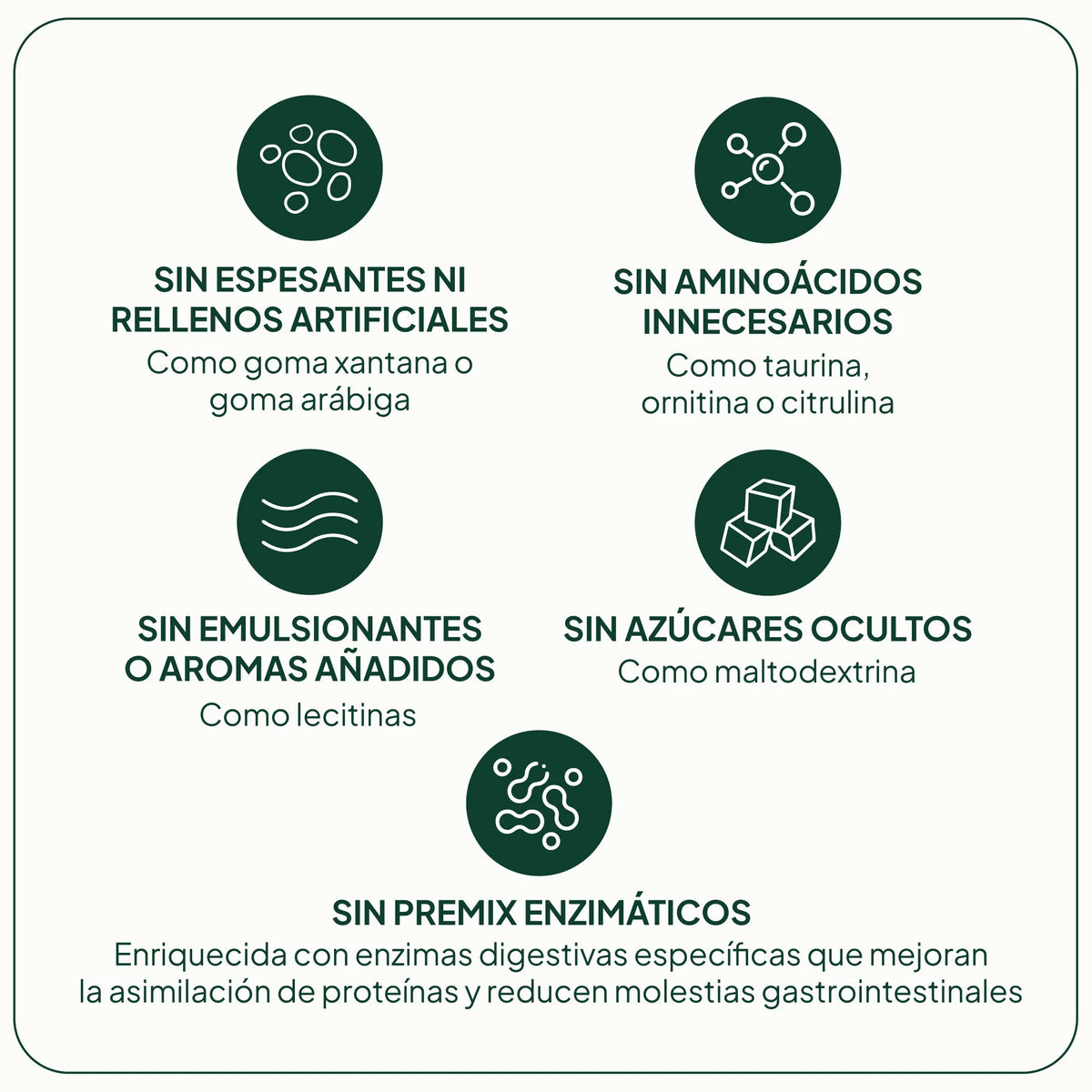 IVB WELLNESS LAB | Proteína Vegana - 500g