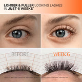 LILYEVE | Grow Turn Exosome Dual Lash Serum - 8ml