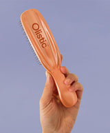 OLISTIC | The iBrush