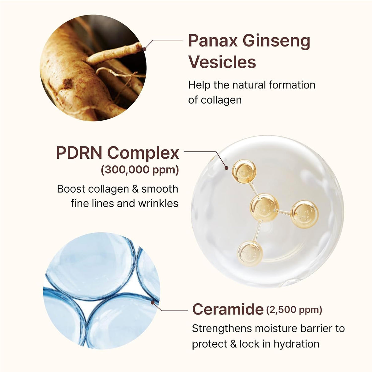 CENTELLIAN 24 | PDRN Firming Boosting Ampoule - 30ml