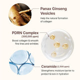 CENTELLIAN 24 | PDRN Firming Boosting Ampoule - 30ml