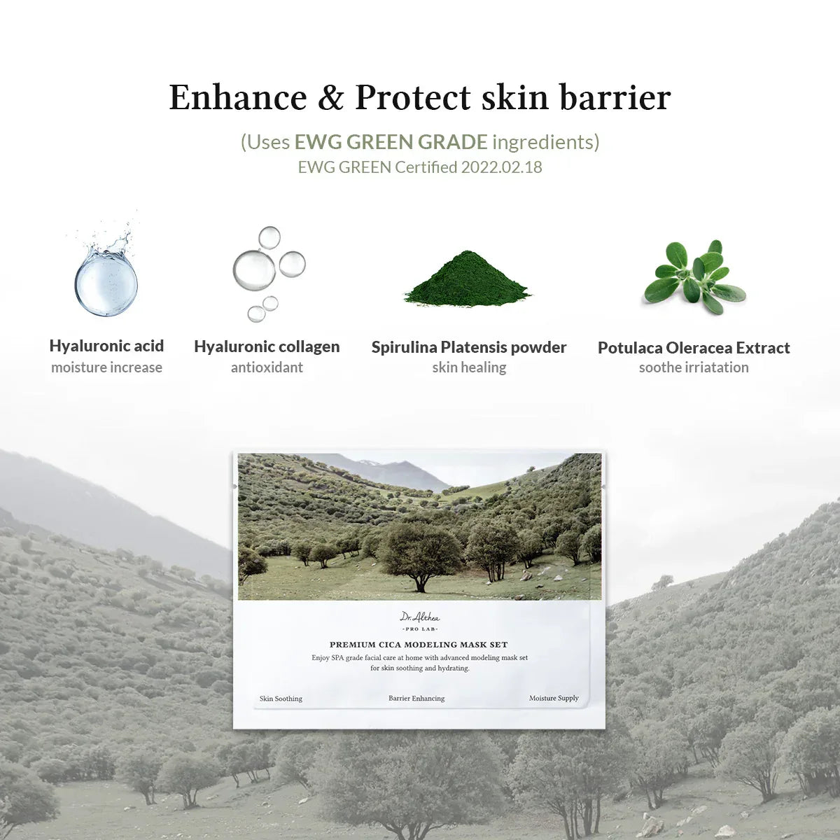 DR. ALTHEA | Premium Cica Modeling Mask Set - 5ud - InternationalCosmetic