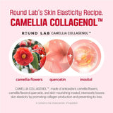 ROUND LAB | Camellia Deep Collagen Firming Gel Mask - InternationalCosmetic