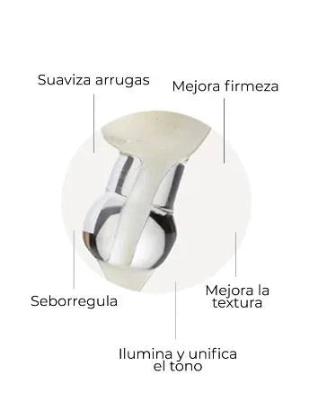 SEGLE | Pack Well Aging - 60ml - InternationalCosmetic