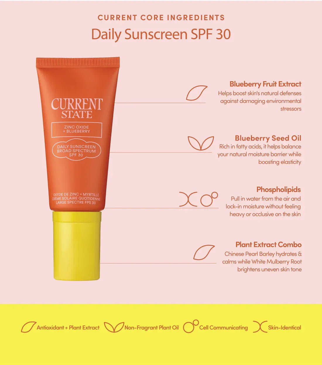 CURRENT STATE | Zinc Oxide + Blueberry Daily Sunscreen SPF 30 - 50ml - InternationalCosmetic