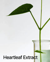 ANUA | Heartleaf Pore Control Cleasing Oil - InternationalCosmetic