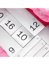 MIIN | Calendario Adviento MIIN 2025 - InternationalCosmetic
