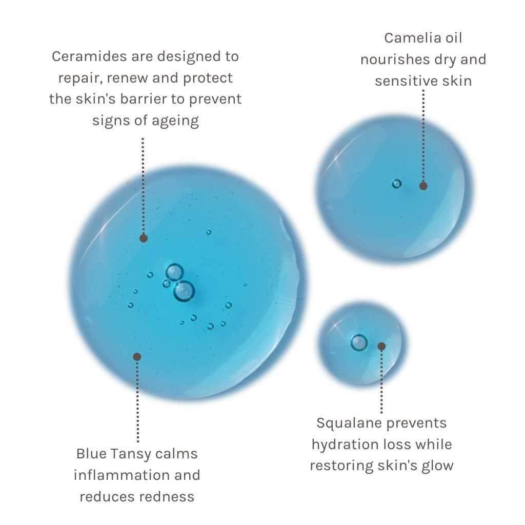 EVOLVE | Blue Velvet Ceramide Serum - 30ml - InternationalCosmetic