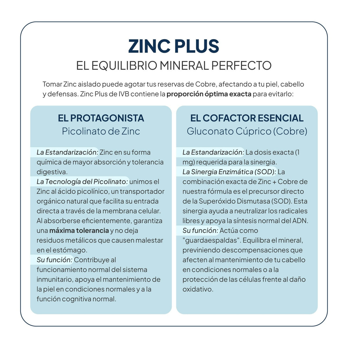 IVB WELLNESS LAB | Zinc Plus - 60 Cápsulas - Detalle oficial