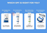 ROUND LAB | Birch Moisturizing Sun Stick SPF 50+ - 19gr - InternationalCosmetic
