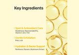 NUMBUZIN | No.5 Vitamin-Niacinamide Concentrated Toner Pads - InternationalCosmetic
