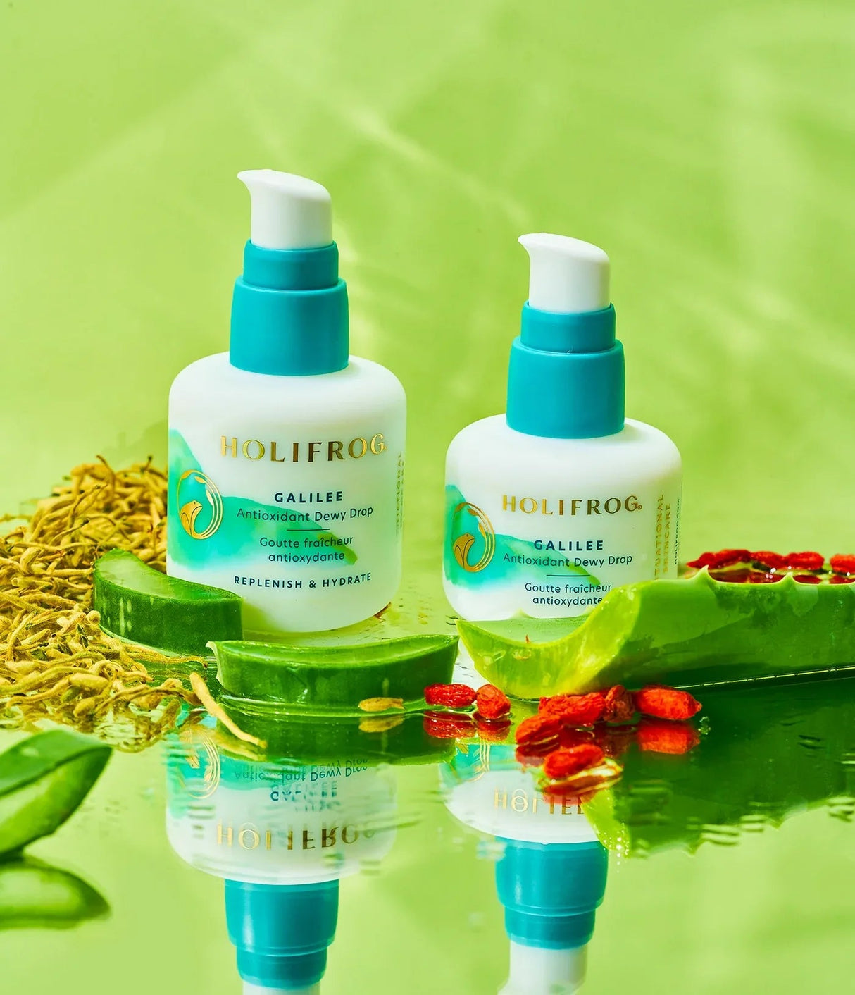 HOLIFROG | Galilee Antioxidant Dewy Drop (OUTLET) - 50ml - InternationalCosmetic
