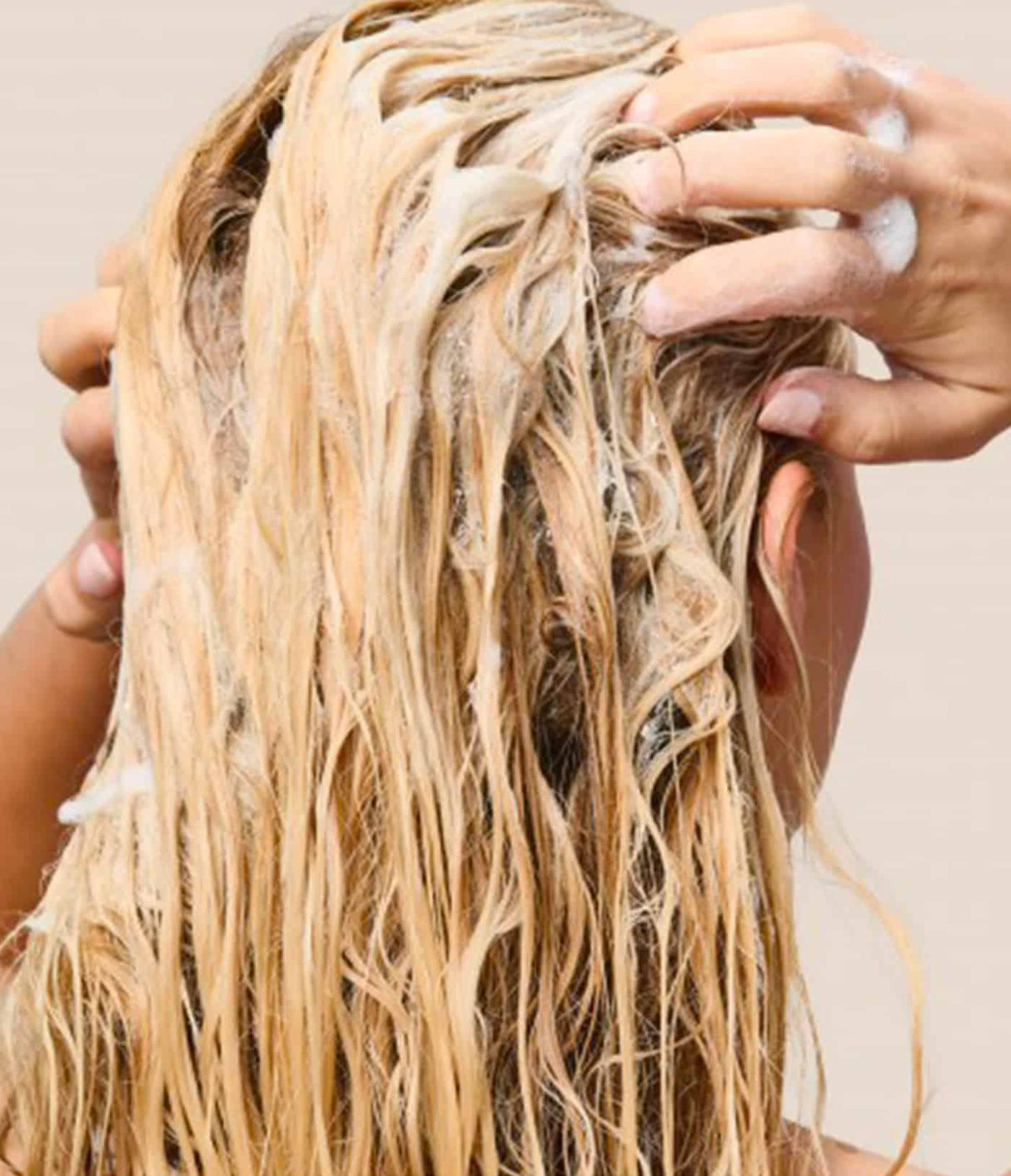 LIVING PROOF | Restore Shampoo - InternationalCosmetic