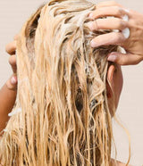 LIVING PROOF | Restore Shampoo - InternationalCosmetic