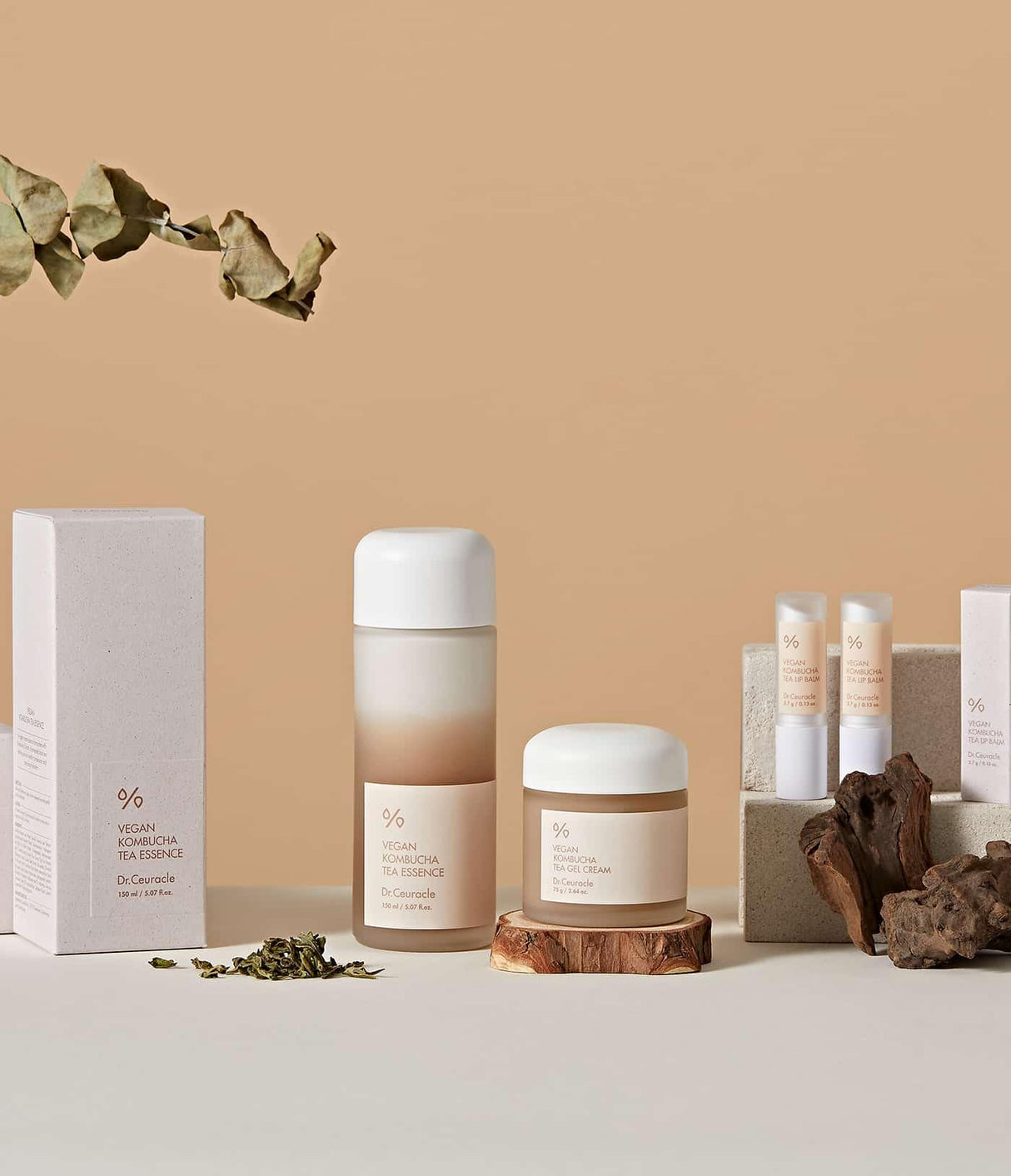 DR. CEURACLE | Vegan Kombucha Tea Special Set - InternationalCosmetic
